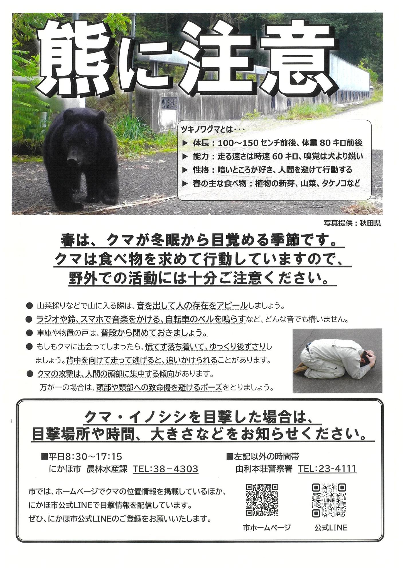 R7クマチラシ表