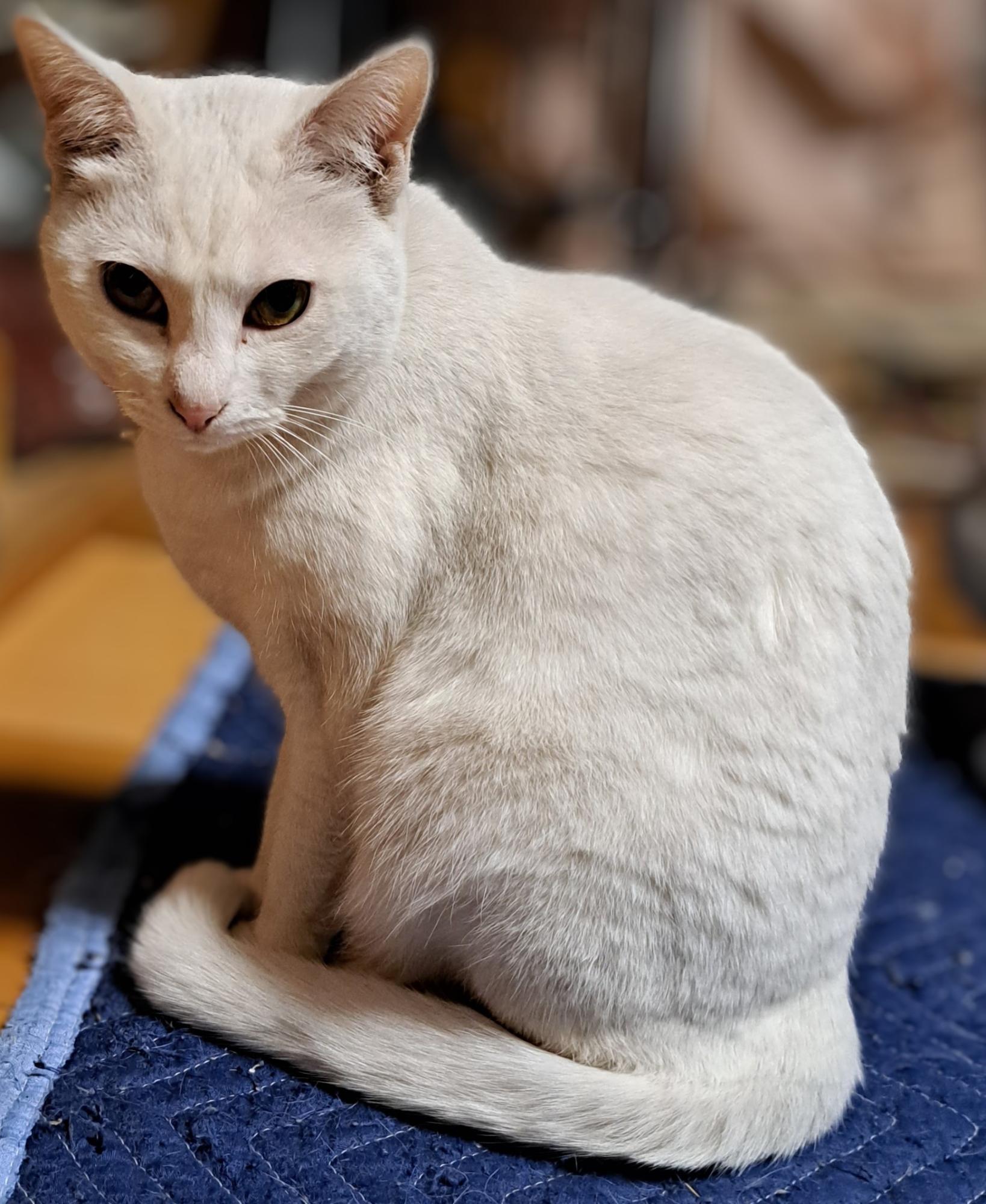 あ