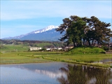 青空と鳥海山と田んぼを映した風景写真