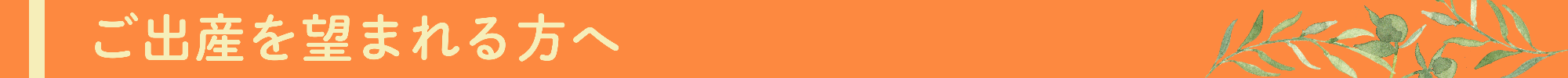 出産を望まれる方へ