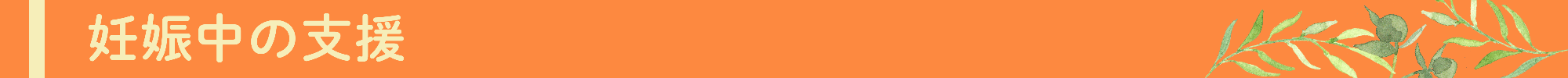 妊娠中の支援