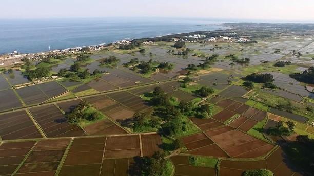 上空から撮影した国の天然記念物「九十九島」の写真
