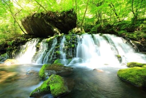 苔むした岩のそばで滝が流れている写真